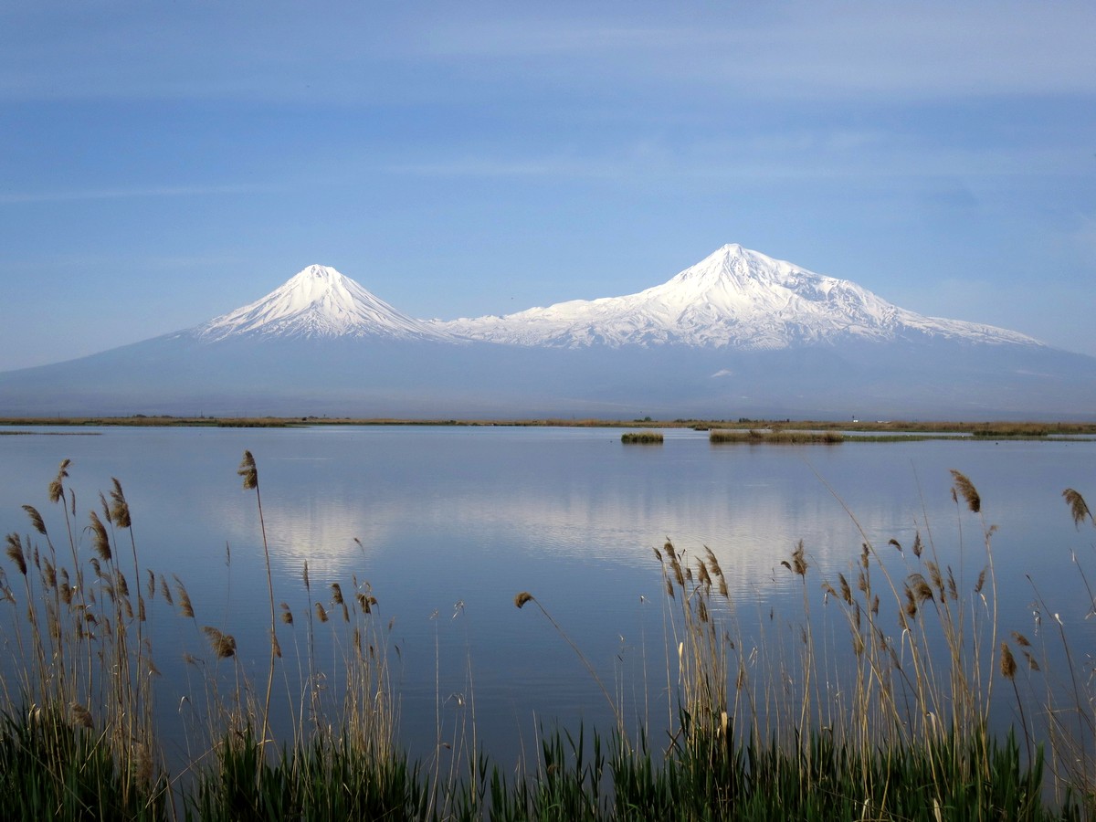 Armash and Ararat, Birding in Armenia