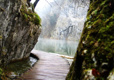 Wildlife Holiday Croatia Slovenia