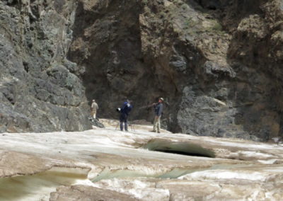 | Birding tour Mongolia