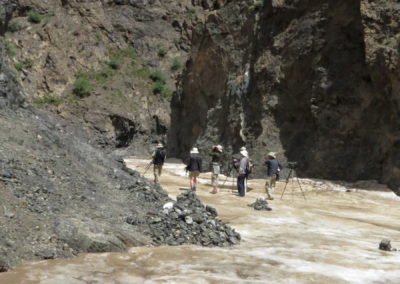 | Birding tour Mongolia