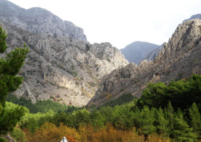 Wildlife Holiday Croatia Slovenia