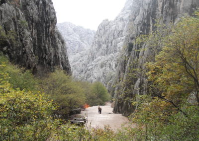 Wildlife Holiday Croatia Slovenia