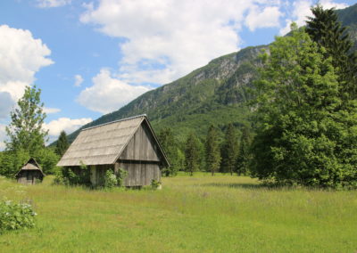 Wildlife Holiday Croatia Slovenia