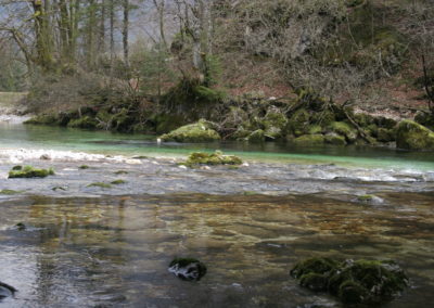 Wildlife Holiday Croatia Slovenia