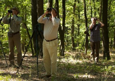 Birdwatching in the Bukk Forest| Biding tour Hungary Autumn
