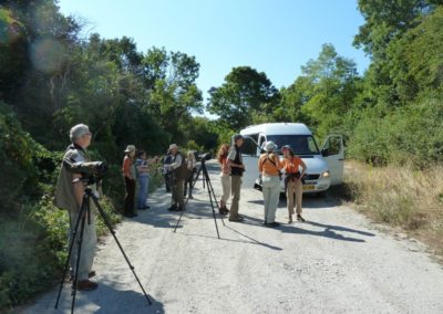 At the Hor Valley | Biding tour Hungary Autumn