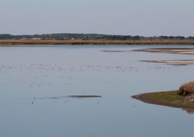 Hortobagy Fishponds | Biding tour Hungary Autumn