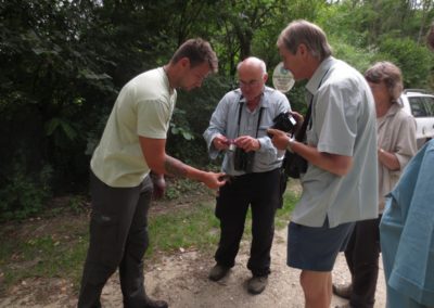 Butterfly tour Slovenia | European Crayfish