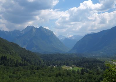 Butterfly tour Slovenia | Julian Alps