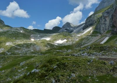 Butterfly tour Slovenia | Mangart