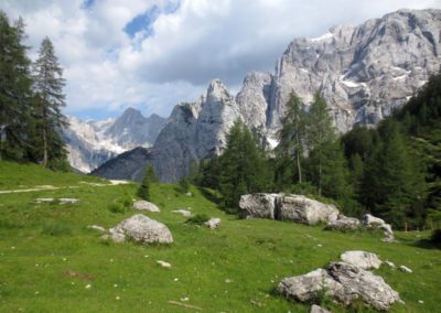 Butterfly tour Slovenia |