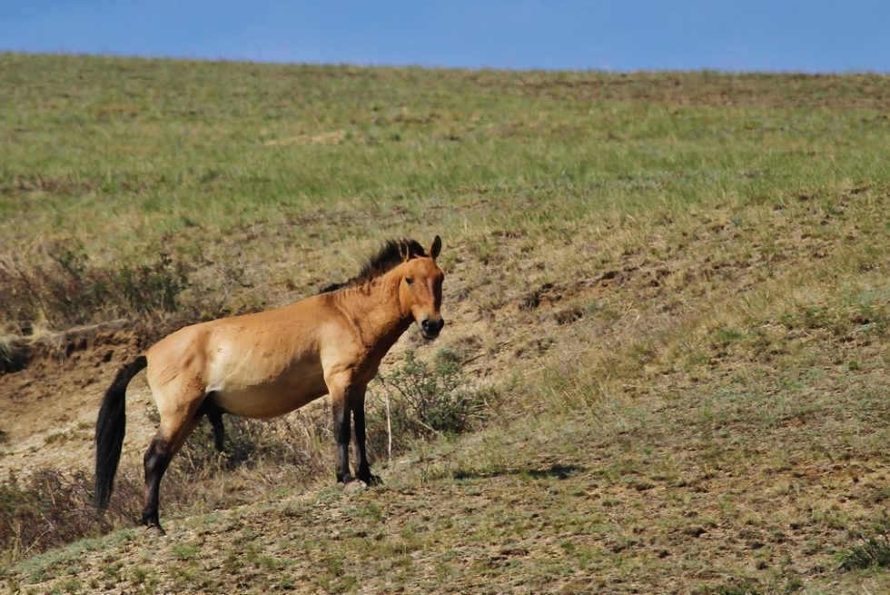 Courtesy of Graham Brace