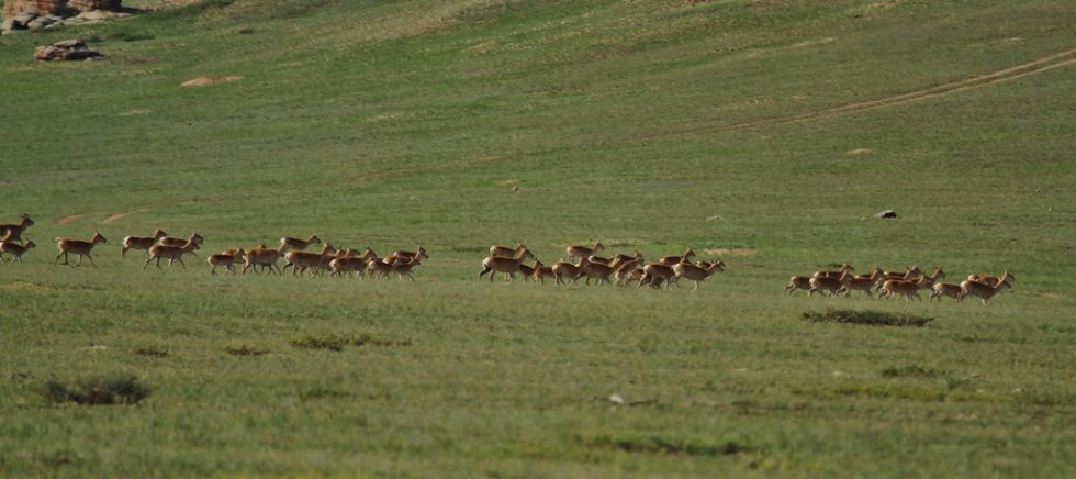 Courtesy of Graham Brace