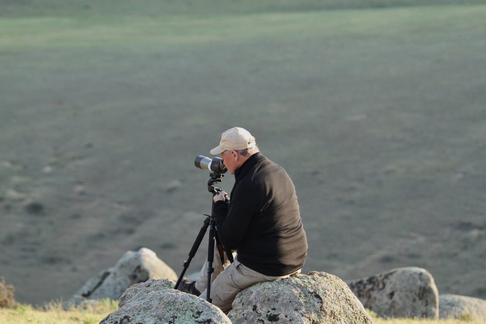 Courtesy of Graham Brace