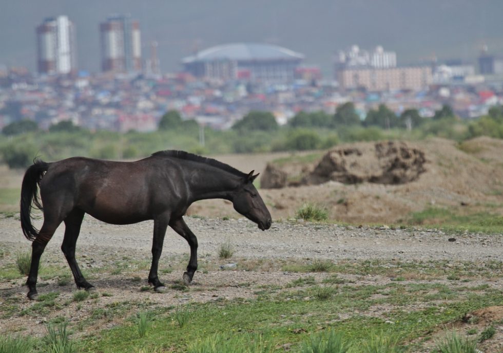 Courtesy of Graham Brace