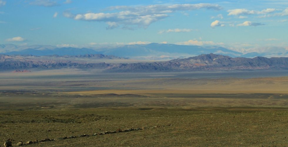 Courtesy of Graham Brace