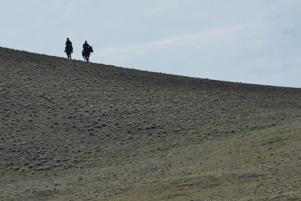 Courtesy of Graham Brace