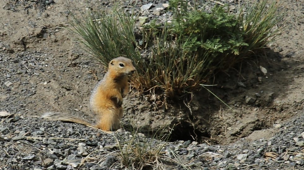 Courtesy of Graham Brace