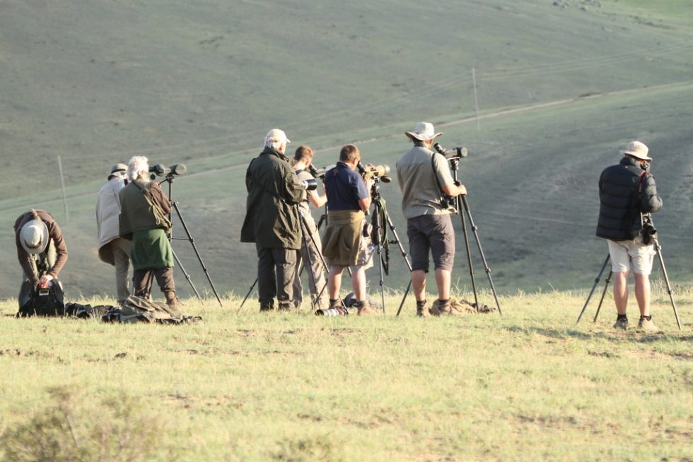 Courtesy of Graham Brace