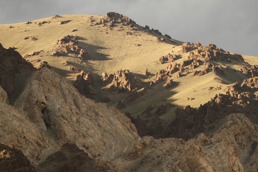 Courtesy of Graham Brace