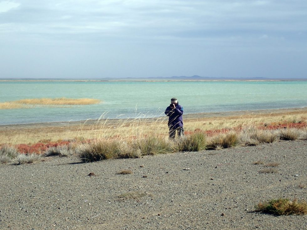 Copyright: Dr Mike Pienkowski