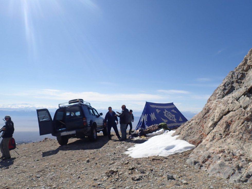 Copyright: Dr Mike Pienkowski