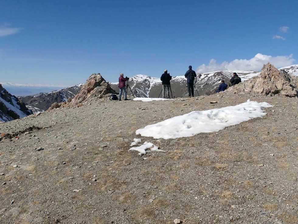 Copyright: Dr Mike Pienkowski