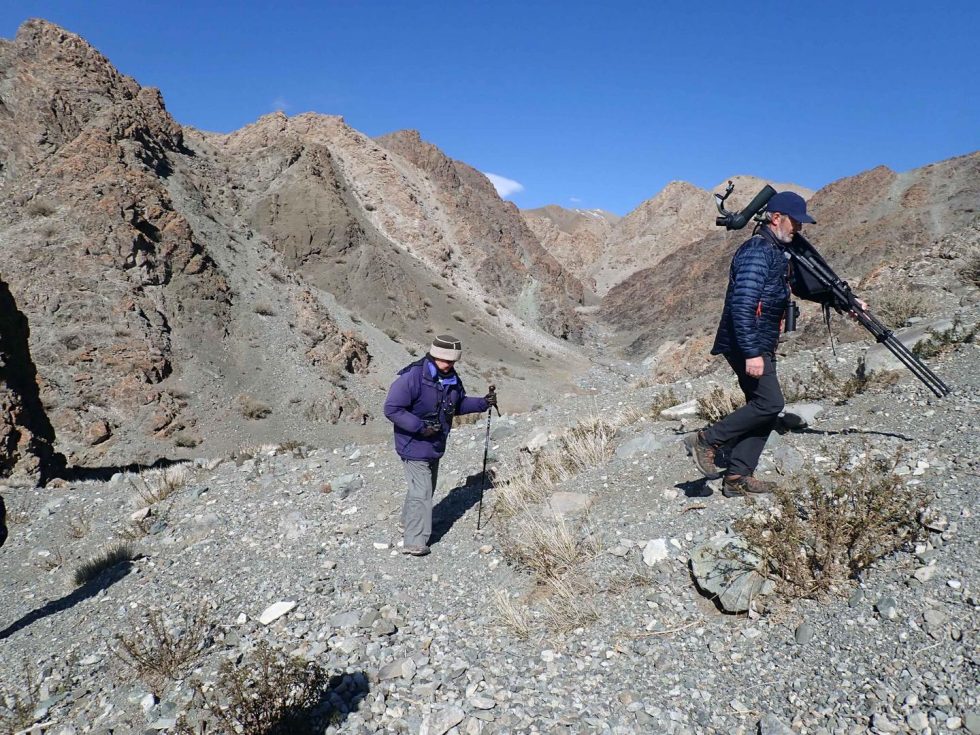 Copyright: Dr Mike Pienkowski