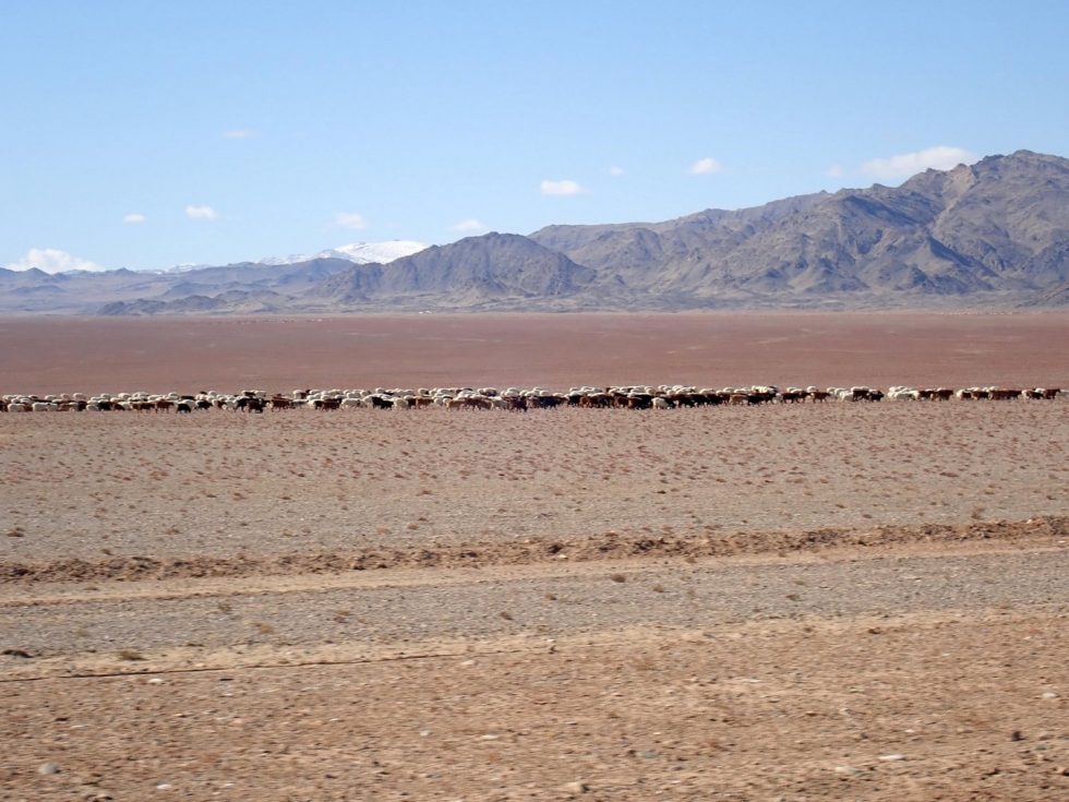 Copyright: Dr Mike Pienkowski