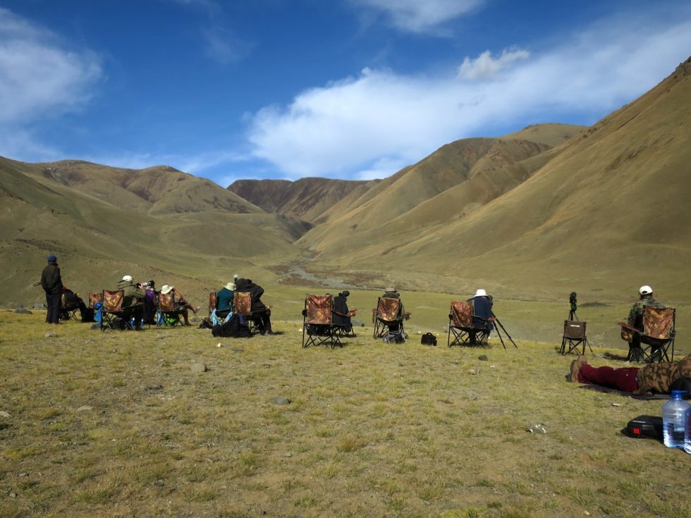 Scanning for Snow Leopard
